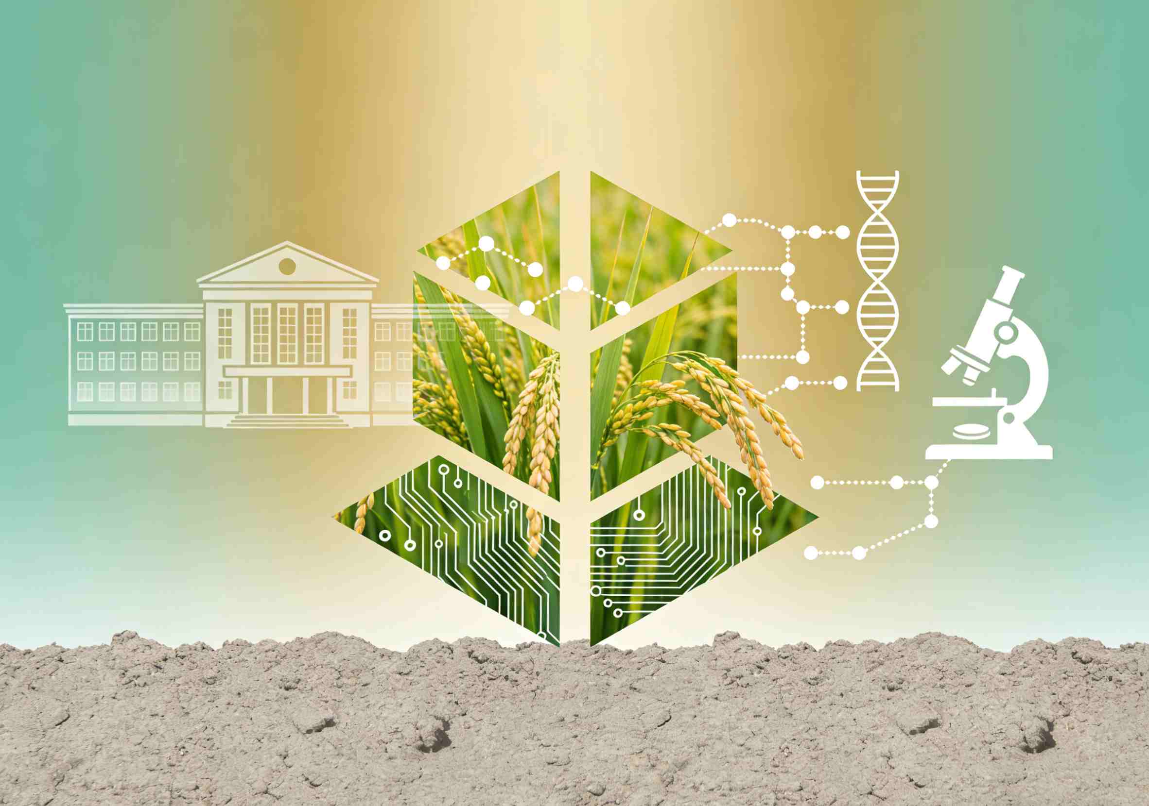 Agritech in 2025: positioned for growth